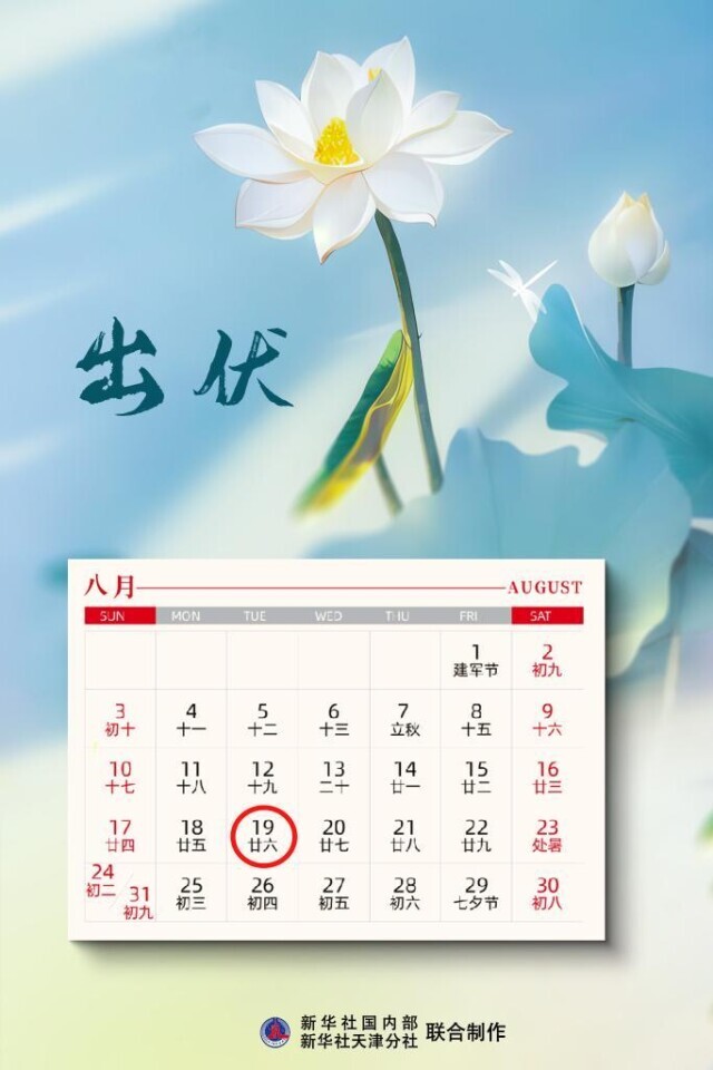 長達30天的“三伏”落幕，今年緣何早出伏？