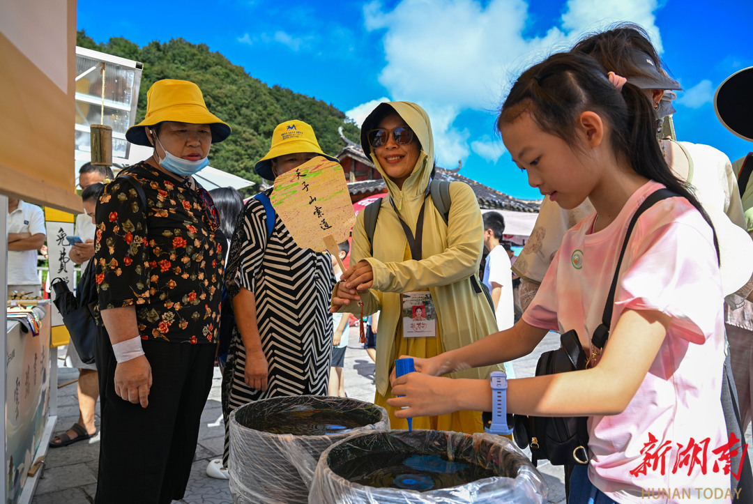 國(guó)風(fēng)雅韻天子山