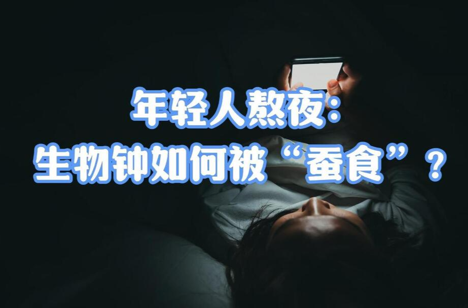 青春解碼①｜年輕人熬夜：生物鐘如何被“蠶食”