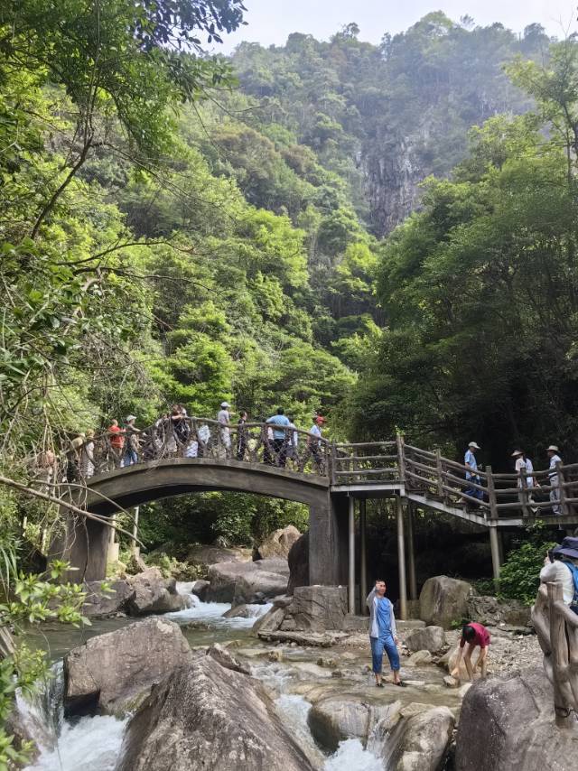 永兴县：保险业多措并举，助力营商环境持续优化