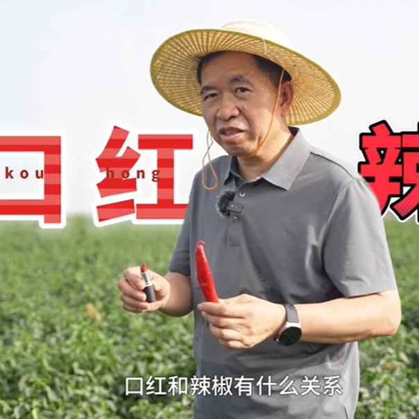 跟著院士去種地⑩丨口紅和辣椒有特殊關(guān)系，你知道嗎？