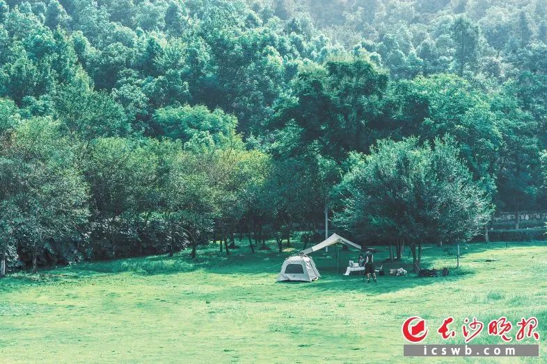 尖山脚下,市民在草坪上搭帐篷露营。树荫下凉风习习,好不惬意。