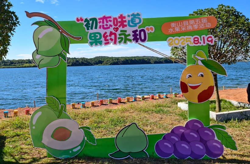 “线上引流+体验创新+服务升级”  衡山县水果采摘季活动玩出新花样