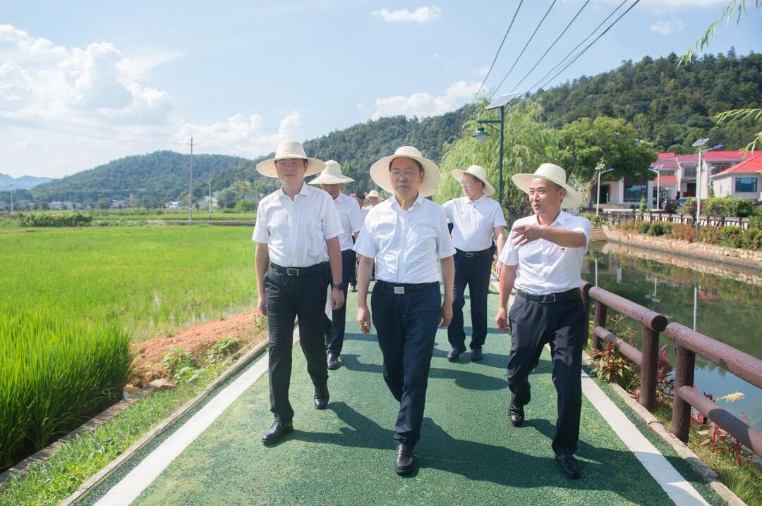 譚勇在雨敞坪鎮(zhèn)調(diào)研鄉(xiāng)村振興工作