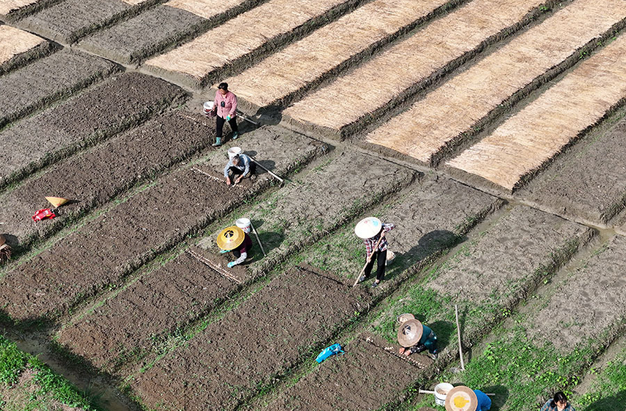 閑置地變聚寶盆