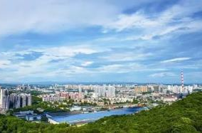 陳恢清主持召開市政府常務會議 研究自然保護地整合優(yōu)化、基本醫(yī)保參保等工作