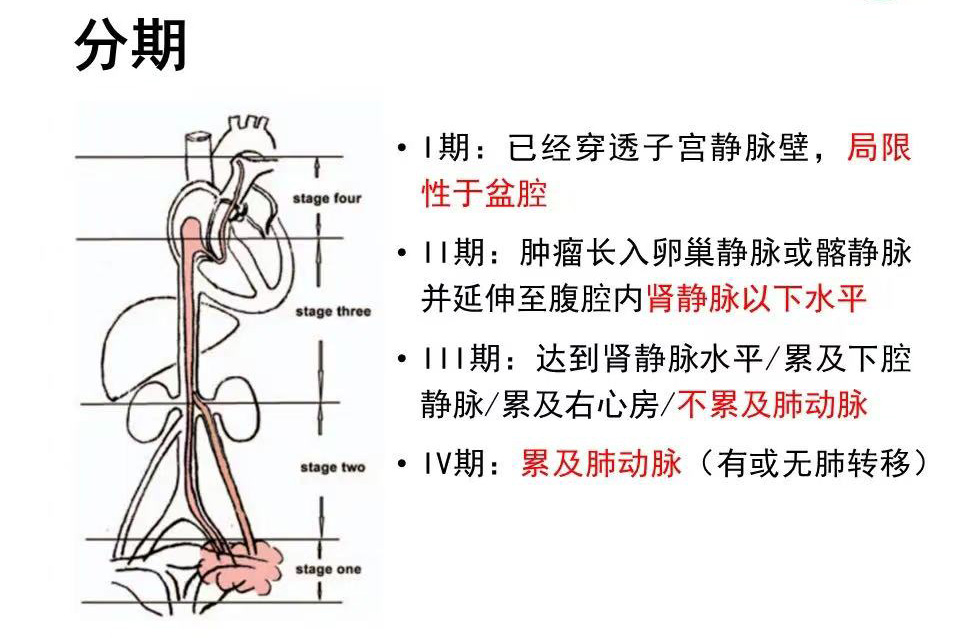 娄底市中心医院多学科联手创造罕见“拆弹”奇迹