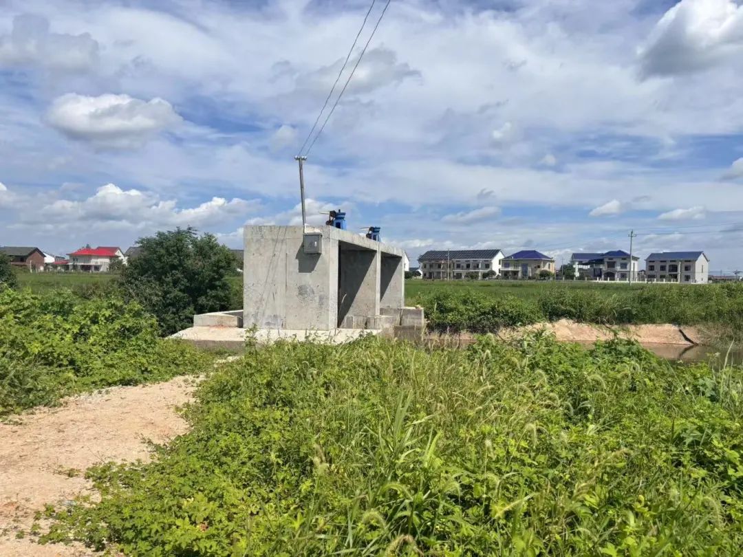 新市鎮(zhèn)：小民生，見證代表履職擔(dān)當(dāng)大作為.jpg