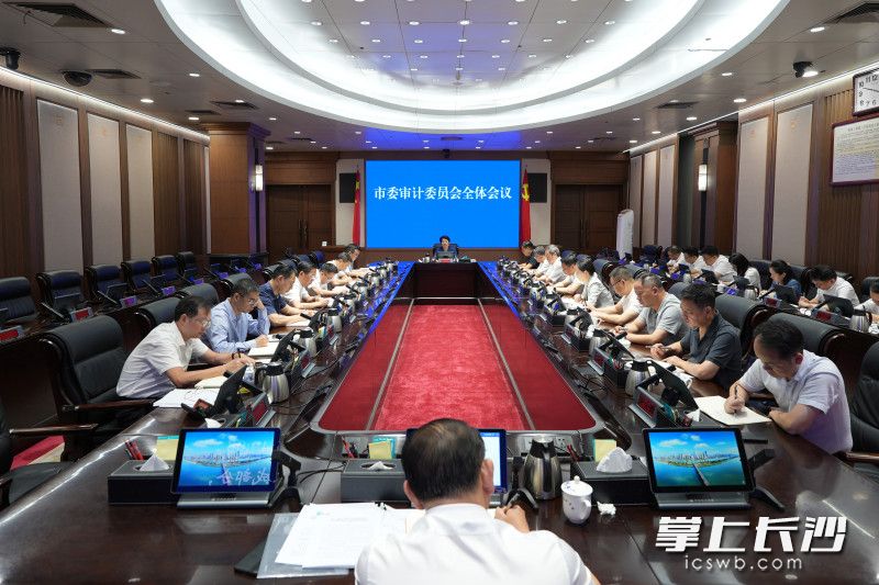 吳桂英主持召開長沙市委審計委員會會議