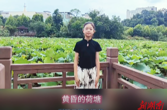 黃昏的荷塘
