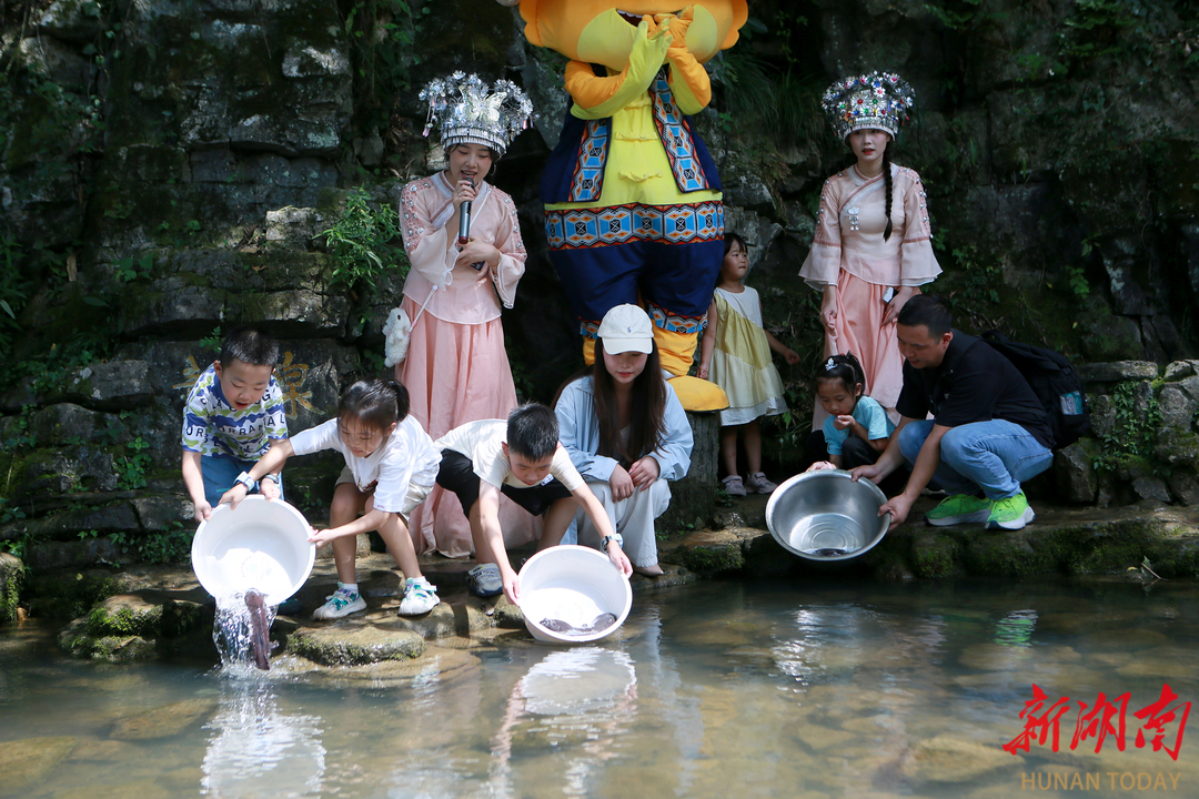  張家界黃龍洞“大鯢家園”添丁