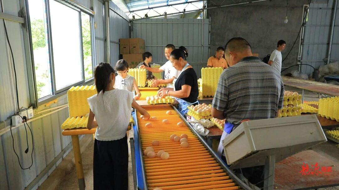 临武县南强镇：产业兴农促增收 民生改善焕新颜