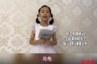 烏龜