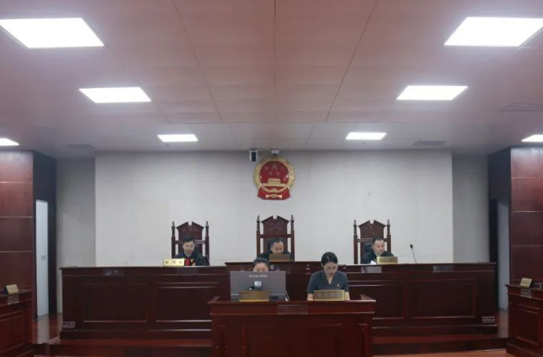 为了这个案子，法院院长执槌主审、行政首长出庭应诉