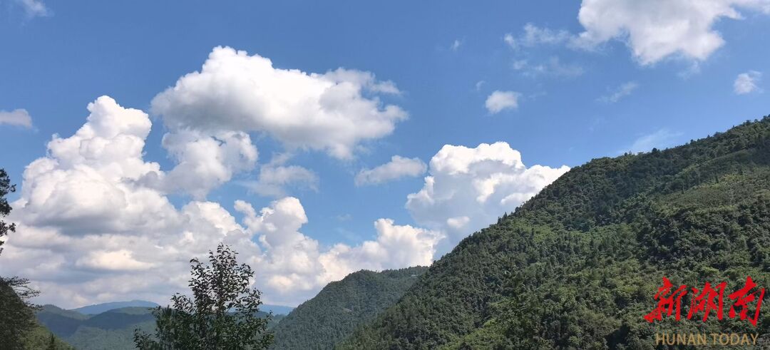 美文欣賞丨上河溪的云