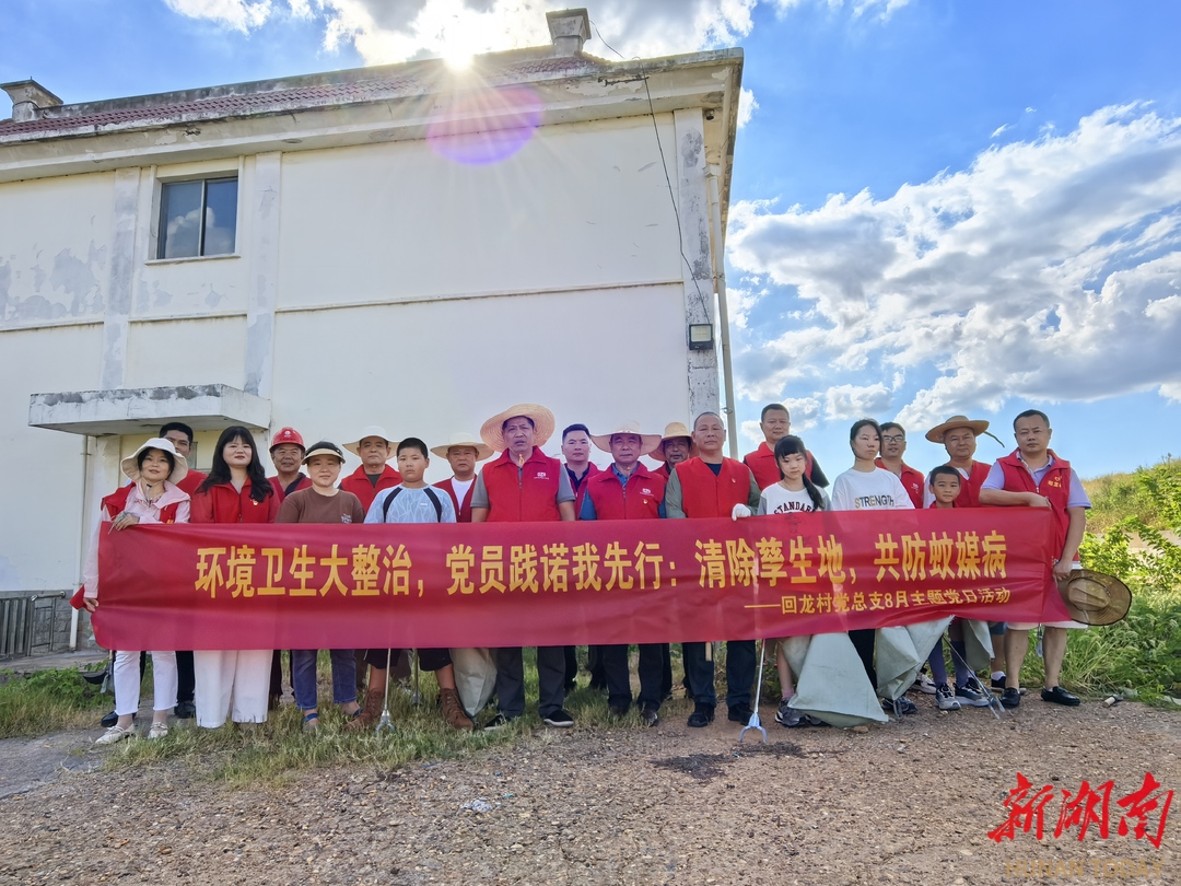 长沙大泽湖街道回龙村：党员当先锋 环境整治护民