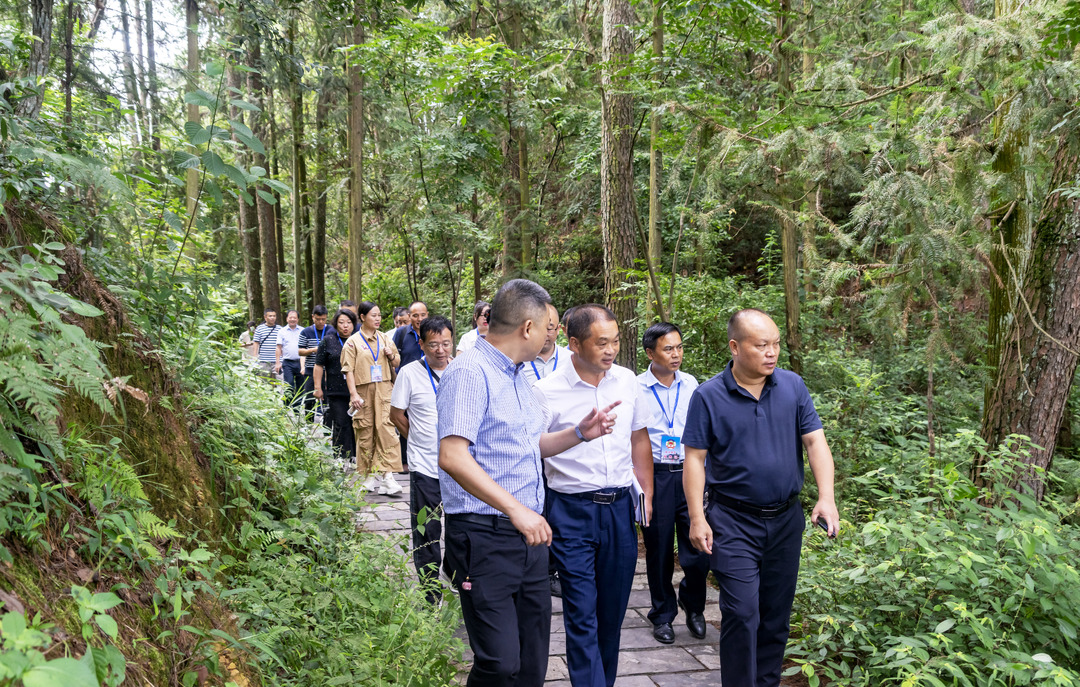 湘西州政协与凤凰县政协联合开展改善生态环境民主监督