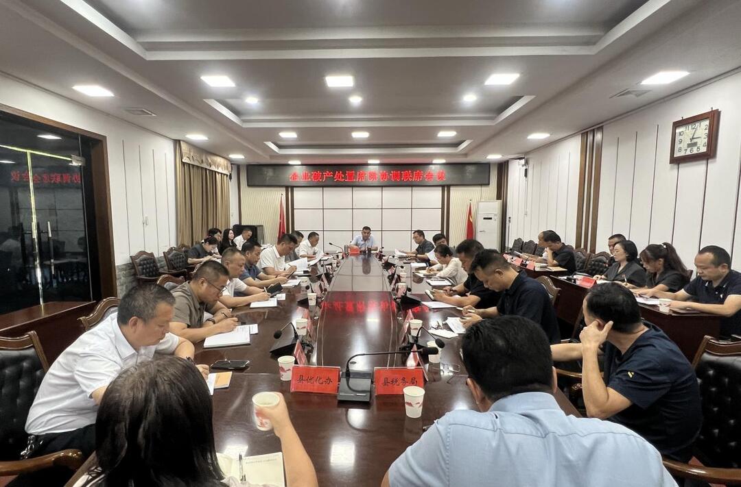 溆浦县召开企业破产处置府院协调联席会议