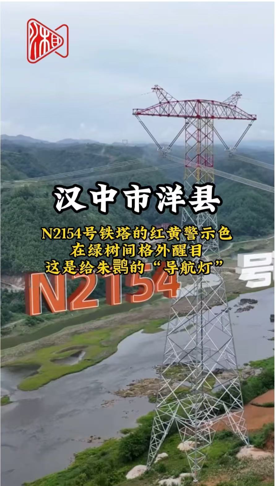 寧電入湘 丨漢中市洋縣，N2154號(hào)鐵塔是朱鹮的“導(dǎo)航燈”