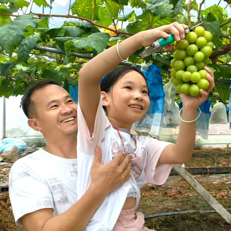 菁蕪洲鎮(zhèn)：發(fā)展特色水果產(chǎn)業(yè) “甜蜜經(jīng)濟(jì)”促增收