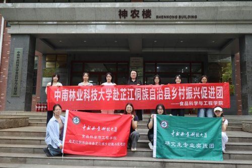 甜茶先锋赋能侗乡振兴 科技助力芷江产业升级