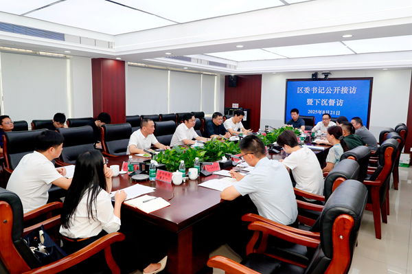 吳新偉赴坡子街街道接訪督訪：用心用情為民排憂解難 持續(xù)推進(jìn)信訪積案化解工作