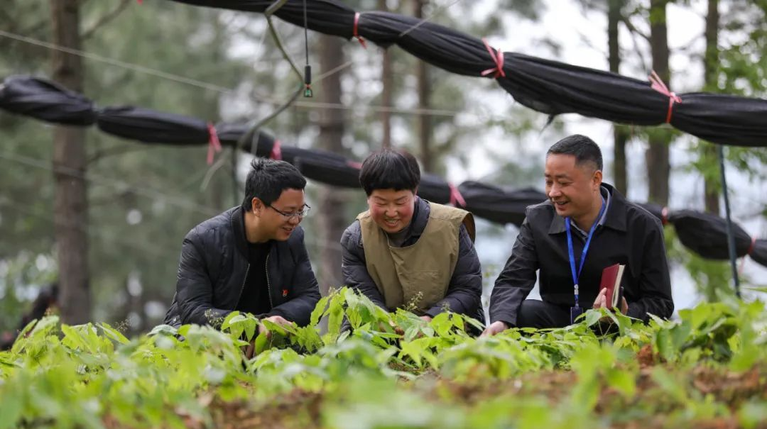 衡阳县：监督推动“医检互认” ，让群众就医省钱又省时