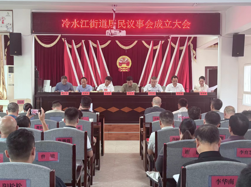 冷水江街道：建好用好代表專業(yè)小組