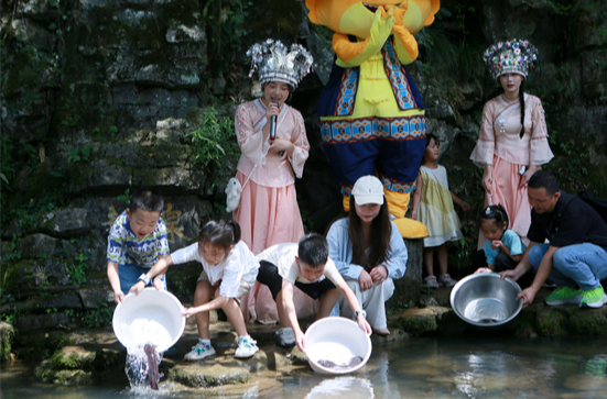 Chinese Giant Salamanders Released to Nature in Zhangjiajie