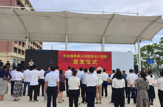 Yongzhou's Vegetables Exported to Western Europe for First Time