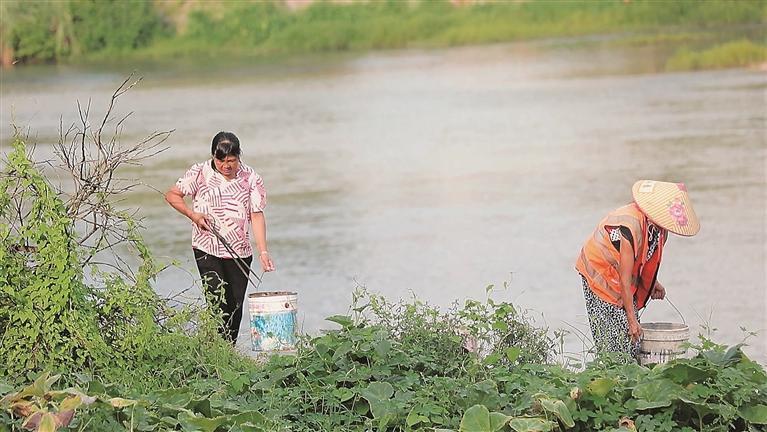 安仁縣承坪鄉(xiāng)：“河長制”繪就生態(tài)畫卷