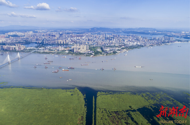 大湖新记丨护住碧水 换得金山——湖南大湖的生态答卷与时代新韵