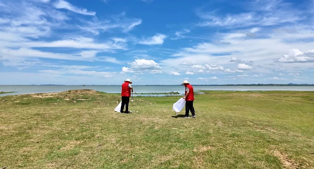黄盖湖自然保护区：清理水域垃圾 守护一方碧水