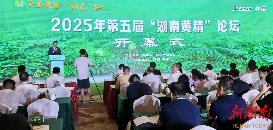 共探黃精產(chǎn)業(yè)發(fā)展新路徑，第五屆“湖南黃精”論壇在安化舉行