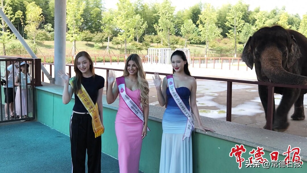 美女與野獸——世界旅游小姐常野游