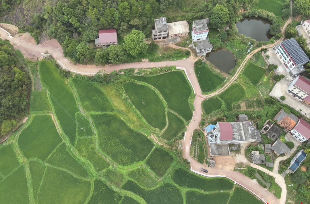 茶陵思聰：一條同心路，萬千桑梓情