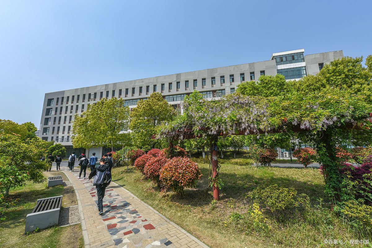 觀點丨職業(yè)本科院校為何異軍突起