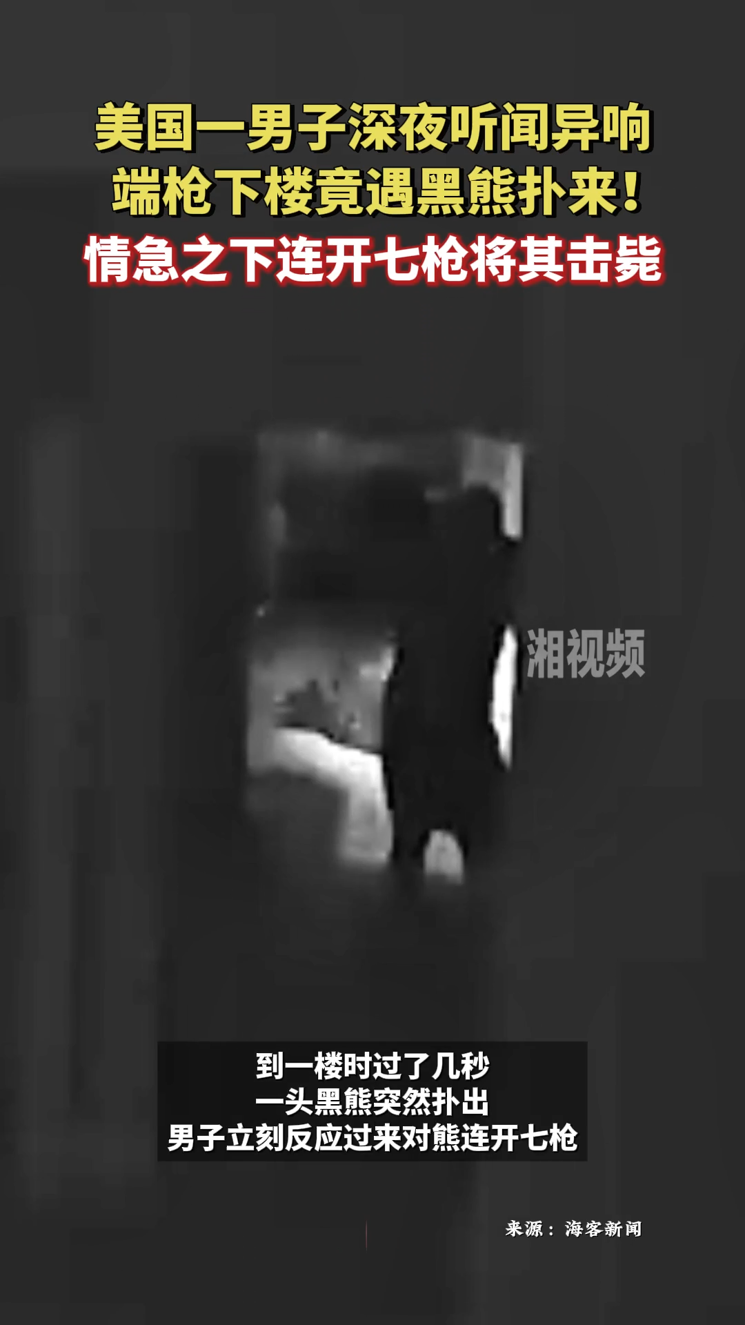 美國一男子深夜聽聞異響，端槍下樓竟遇黑熊撲來，情急之下連開七槍將其擊斃