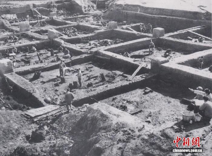 學(xué)者呼吁系統(tǒng)性深耕河姆渡文化研究 探尋地域文明新脈絡(luò)