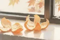 处暑时节如何应对“秋老虎”？——国家卫生健康委回应热点问题
