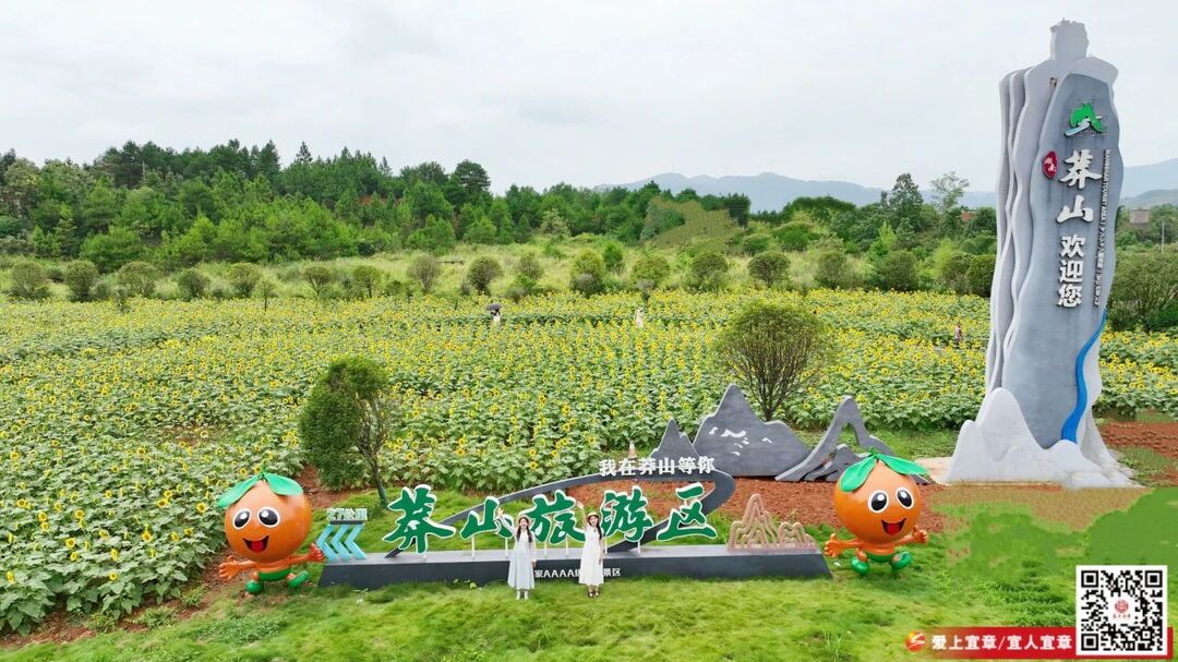 2025年郴州旅游發(fā)展大會(huì) | 葵花盛開迎旅發(fā)