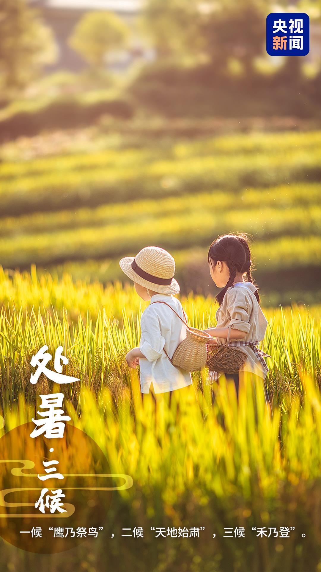 今日处暑丨暑气散 秋意浓