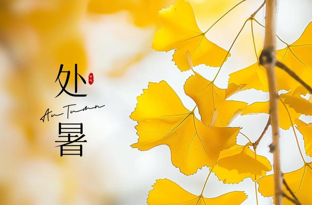 處暑，養(yǎng)生當(dāng)清熱潤(rùn)燥、收斂肺氣！不妨試試這些藥膳～