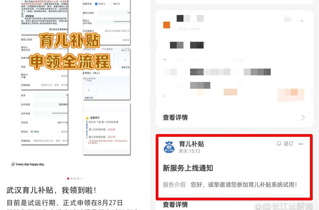部分地區(qū)透露：育兒補(bǔ)貼申領(lǐng)系統(tǒng)8月26日到27日正式上線
