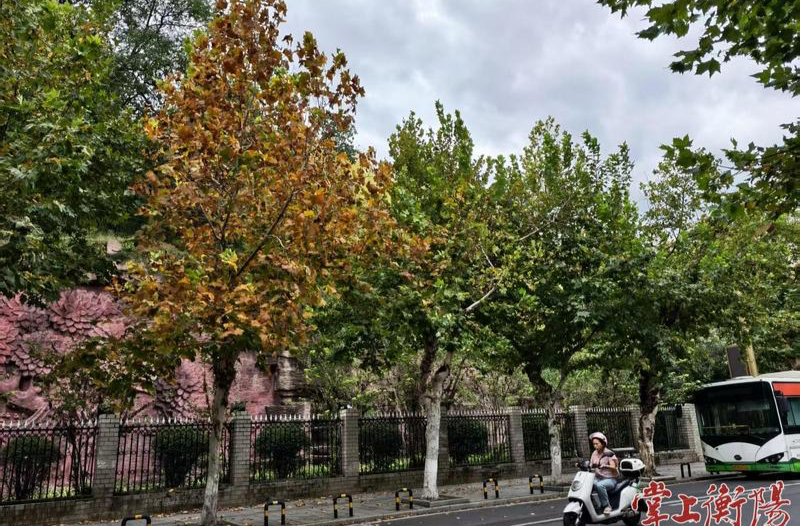 下周，衡阳局地最高气温将达39℃