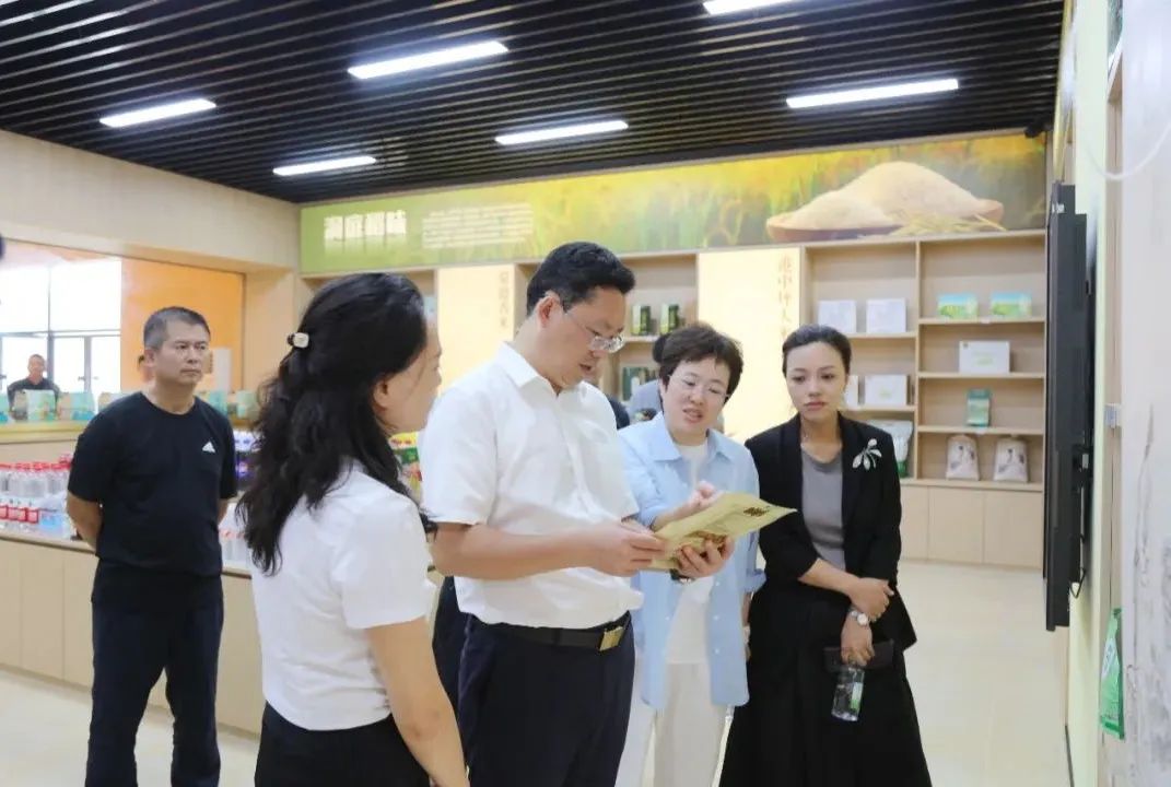 鼎城：陈远调研港中坪片区建设工作