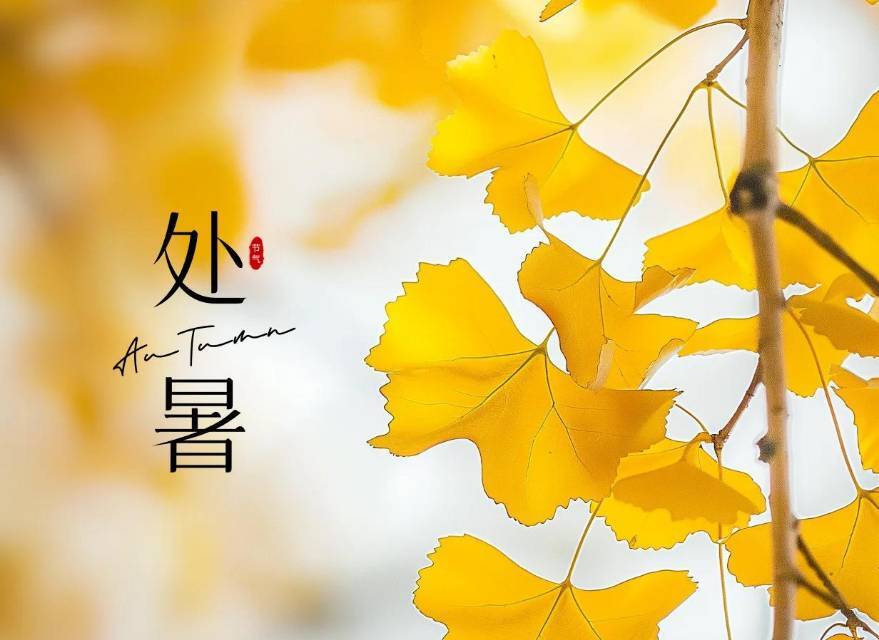 青聲說節(jié)氣丨今日處暑：處暑新啟，清風(fēng)徐來