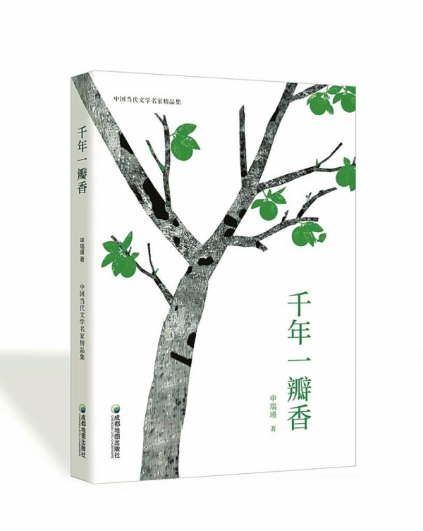 湘江副刊丨在茶香里沉迷