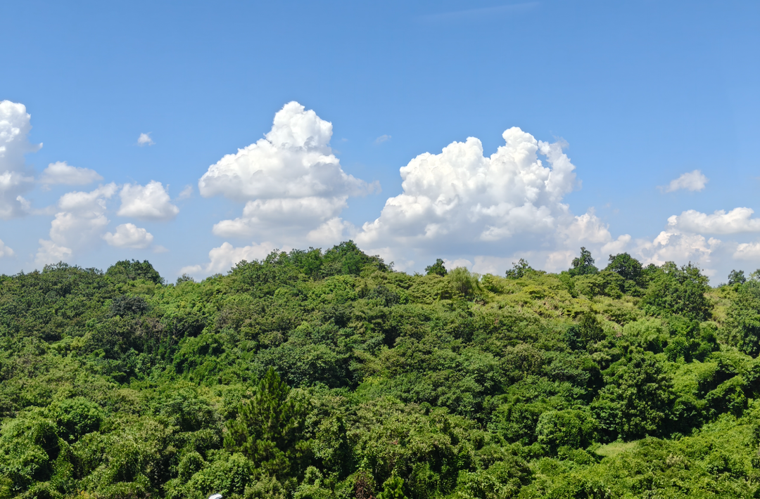 株洲發(fā)布高溫橙色預警！9區(qū)縣最高氣溫將升至37℃以上
