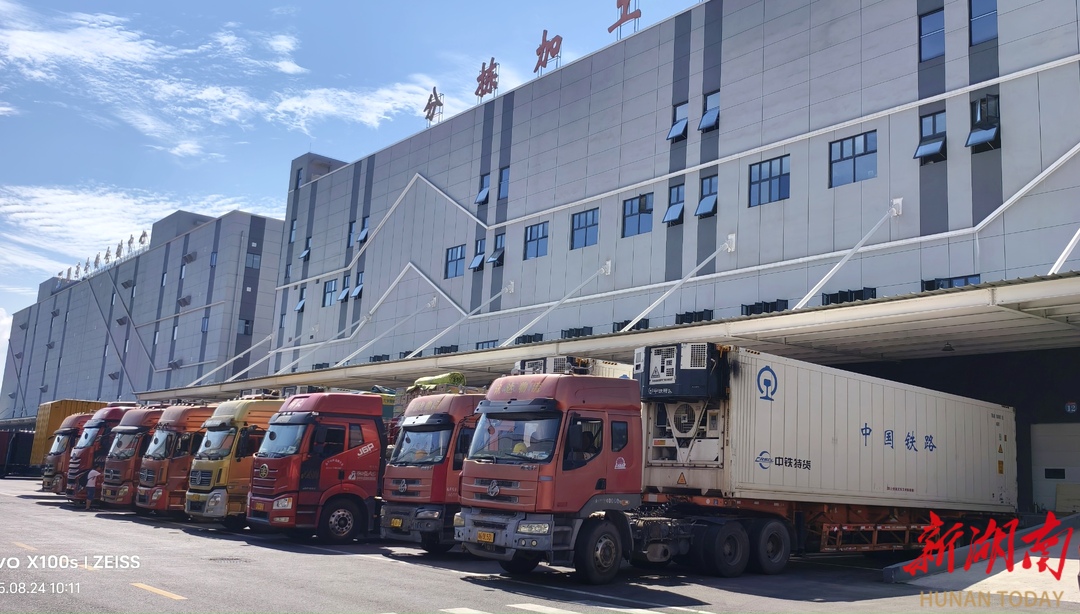 懷化國際陸港老撾香蕉集散分撥中心初具規(guī)模 鐵路冷鏈優(yōu)勢(shì)凸顯